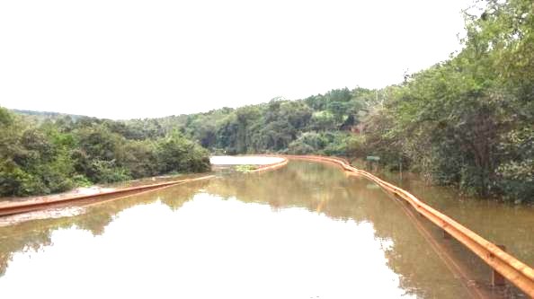 10312780_250760521782341_2879289305010640396_n