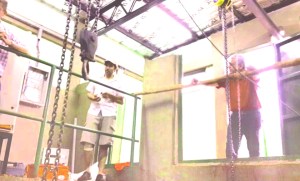 10898065_1384379095201274_7894978038100939620_n