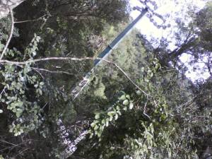 10255928_10201889945878286_1166007424064728032_n