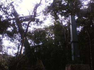 10255928_10201889945918287_6209456604497102078_n