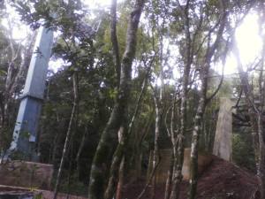 10322788_10201889945958288_2302859885724791781_n (1)