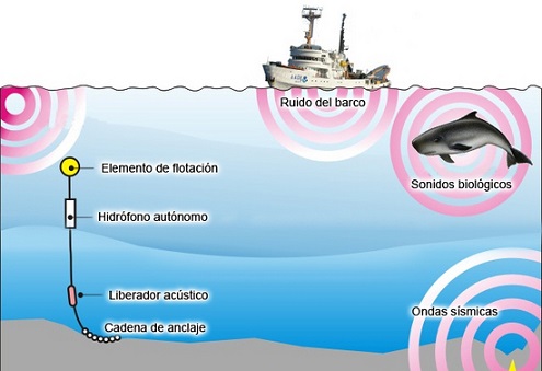 Resultado de imagen para hidrofonos en el oceano guerra fria
