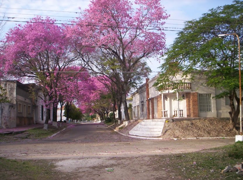 Denunció que su padre la violó durante años y tuvo tres hijos con&nbsp;él
