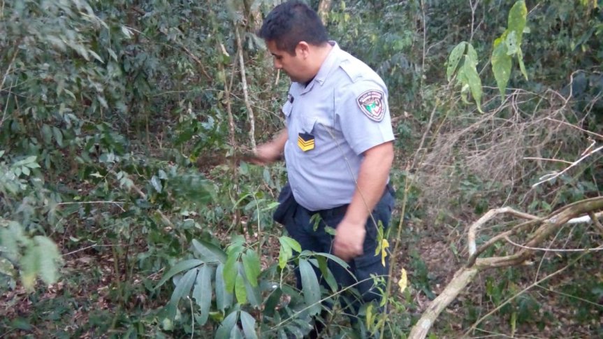 Investigan el homicidio de una mujer de 56 años y hay un intenso rastrillaje policial en busca de su&nbsp;pareja