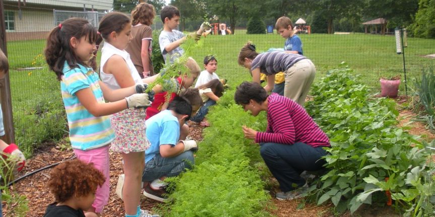 Impulsan programa «Hacé Tu Huerta» destinado a familias en zonas urbanas y&nbsp;periurbanas