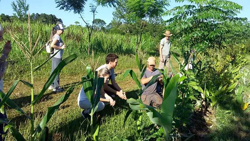 «Fiesta de la Tierra» en la granja La Lechuza con yoga, arte y comida&nbsp;agroecólogica