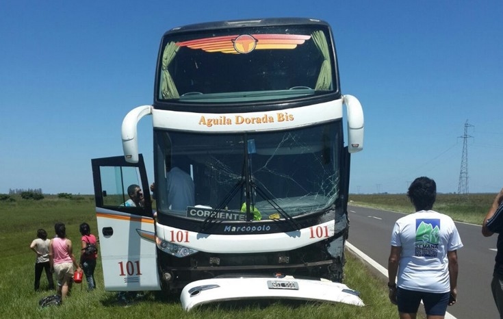 Colectivo embistió una vaca en la ruta 12 dejando 14 pasajeros&nbsp;heridos
