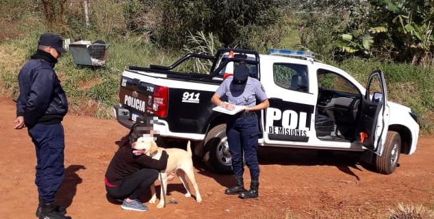 Encontró un Labrador cerca del hospital y se lo llevó a la casa, la policía lo&nbsp;recuperó