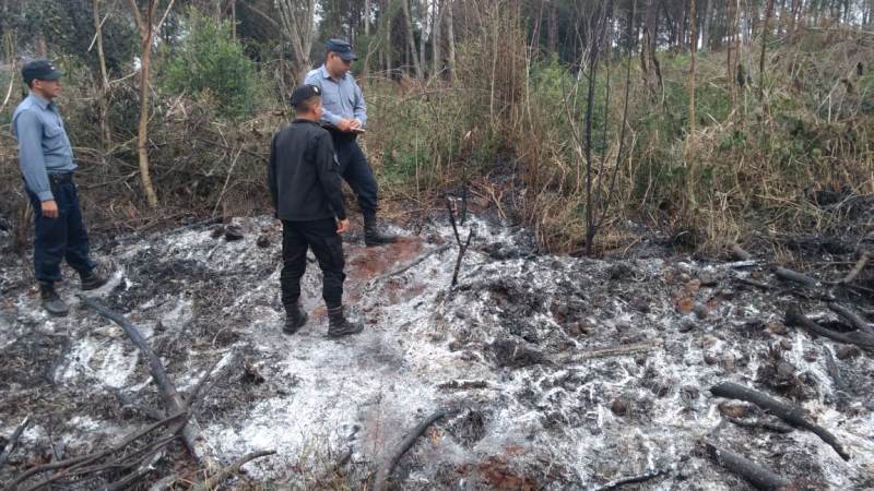 Hallaron 6 kilos de marihuana entre las cenizas de un incendio de&nbsp;pastizales