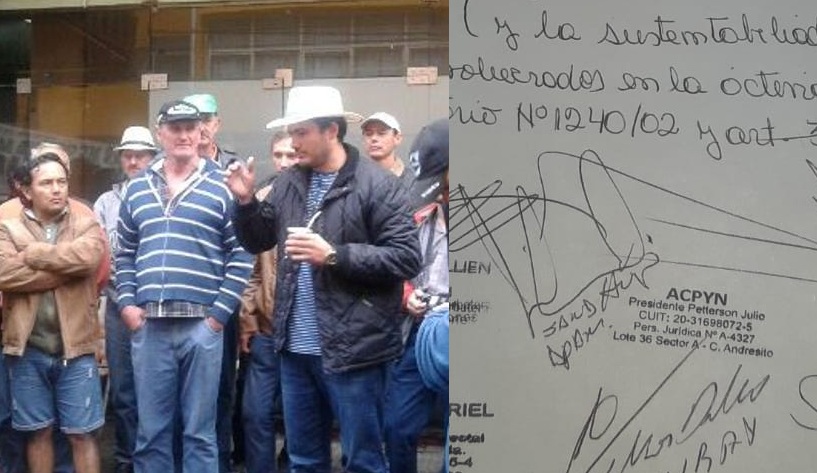 Yerba: Peterson y productores piden que el precio sea fijado por&nbsp;Nación