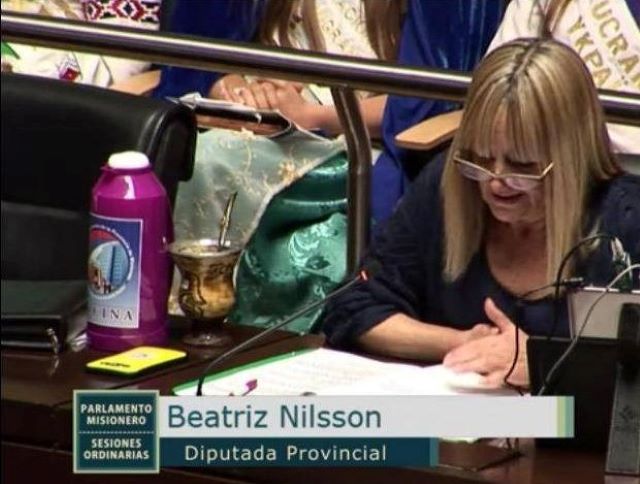 Nilsson propone que secretarios, preceptores, bedeles y bibliotecarios se jubilen con los mismos requisitos que los&nbsp;docentes