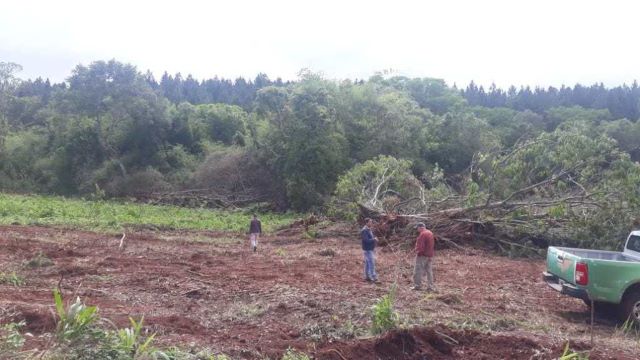 Ecología constató que hay desmonte de 60 has. de bosques nativos en San Pedro y habrá multa&nbsp;millonaria