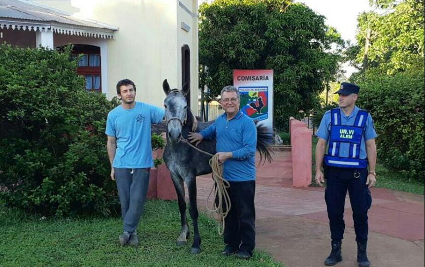 Potranca fue robada en Bonpland y fue hallada en Paraje Bella&nbsp;Vista
