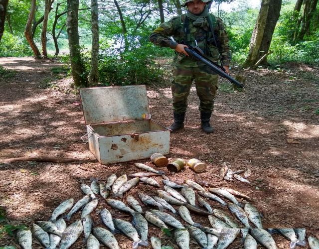 Ecología intensifica controles por la&nbsp;Veda