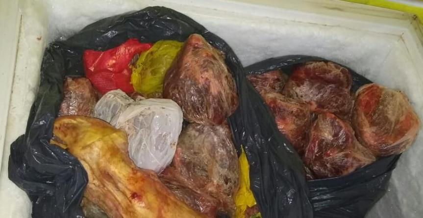 Detuvieron a «Nene» con 59 kilos de carne robada, dos escopetas y un&nbsp;rifle