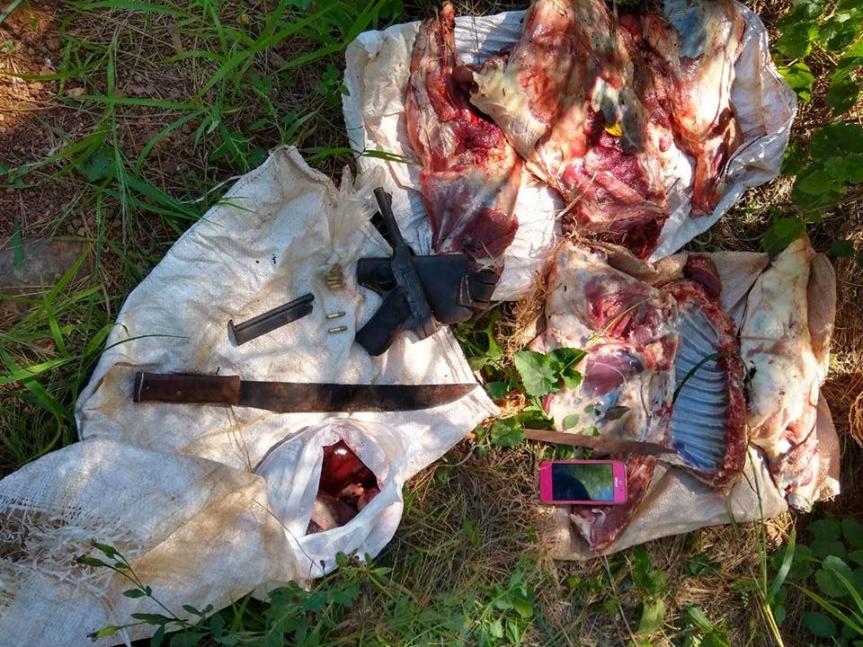Detuvieron a cazadores en un campamento con carne y sábalos&nbsp;faenados