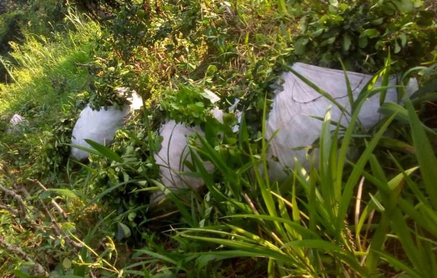 Sorprendieron a cinco sujetos con una tonelada de yerba robada de una&nbsp;chacra