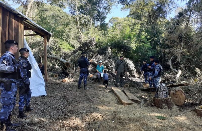 Ecología detectó a 40 personas haciendo apeo ilegal de madera&nbsp;nativa