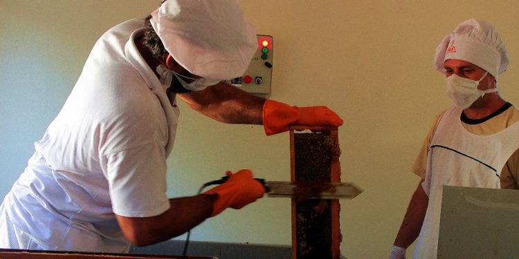PISEAR: Con una inversión de $2.387.350, pusieron en funcionamiento la Sala de Extracción de Miel en 25 de&nbsp;Mayo