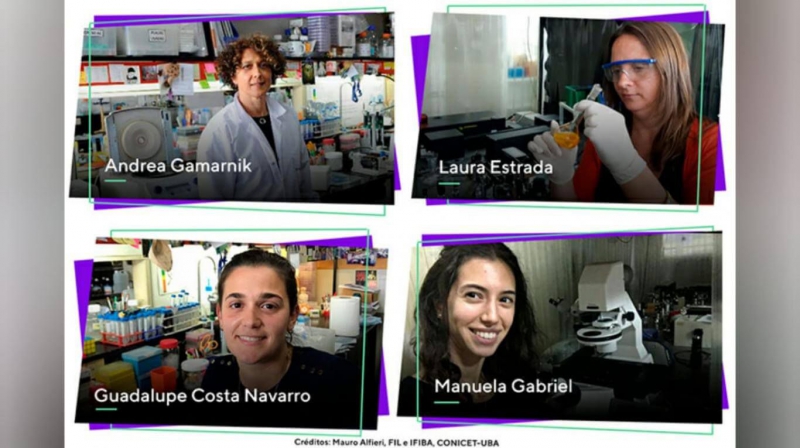 Científicas argentinas estudian proteína del dengue que servirá para desarrollar un&nbsp;antiviral