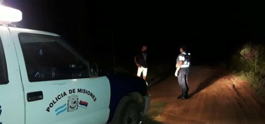 Hallaron novillo robado atado a un&nbsp;árbol