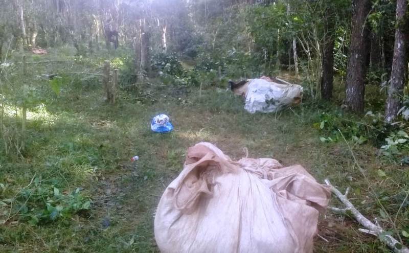 Contrató una cuadrilla para robar yerba en una chacra, hay 14&nbsp;detenidos