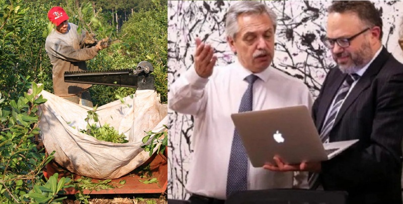 Bloquear exportaciones de yerba y perder mercados: «Ahora que tenemos un margen de ganancia, el Gobierno se mete así&nbsp;amenazando»