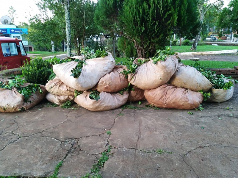 Tres personas fueron sorprendidas cosechando y robando&nbsp;yerba