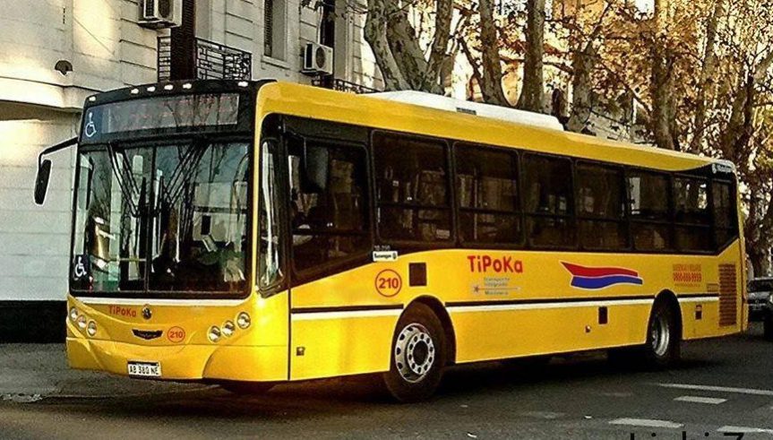 Licitación 2022 en Oberá: Tipoka y Capital del Monte compraron los pliegos  para participar del nuevo sistema – INFOBER