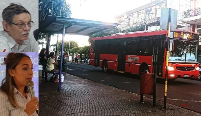 La Defensoría reveló que Next y Tipoka reciben subsidios municipales: «lo único positivo fue la incorporación de unidades&nbsp;nuevas»