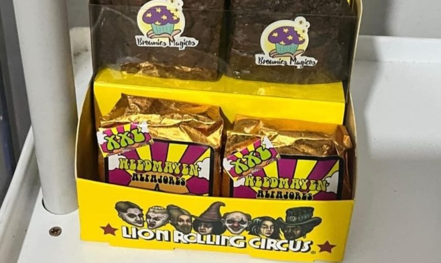«Dulces mágicos»: cayó banda que vendía brownies y caramelos de&nbsp;marihuana