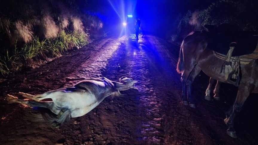 Sufrió graves lesiones el menor que iba a caballo en&nbsp;Guaraní