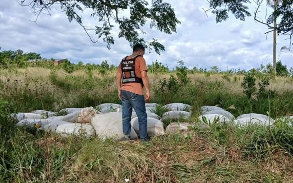 Hallaron yerba y otro objetos robados en una chacra, buscan al&nbsp;ladrón
