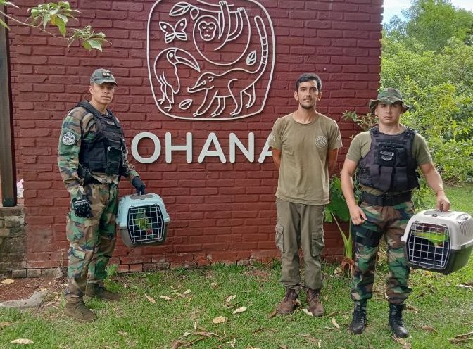 Ofrecían loros por $50 mil en Campo Viera y fueron&nbsp;detenidos