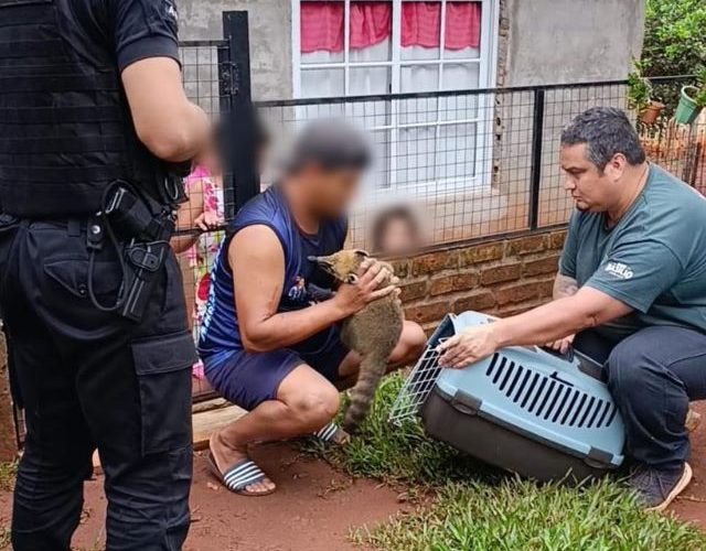 Rescataron a un coatí que lo tenían atado en una&nbsp;casa