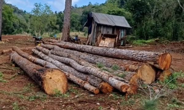 Apeo Ilegal: la policía secuestró elementos y detuvo a dos hombres por el&nbsp;hecho