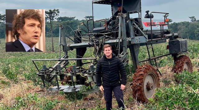 Piden que Milei visite una plantación de yerba: «nunca vino, no sabe cómo es la situación… se tomaron cartas sin&nbsp;conocer”