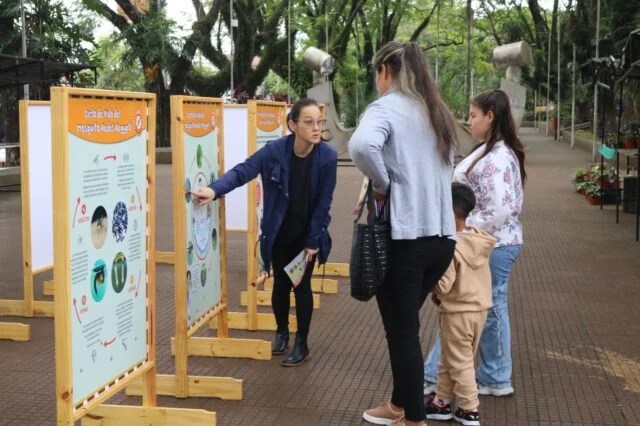 Reforzaron la concientización contra el&nbsp;dengue