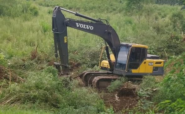 La CELO realiza despeje y mantenimiento en Línea San&nbsp;Martín