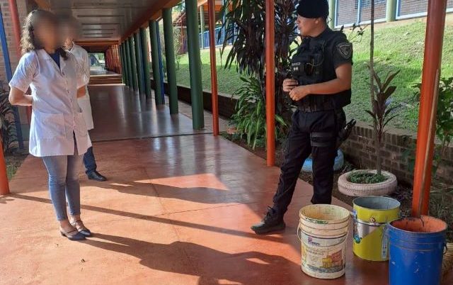 Una culebra apareció dentro de una escuela y causó revuelo entre los&nbsp;chicos