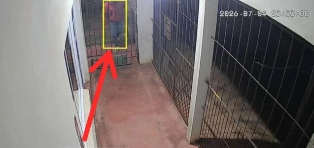 Detuvieron a «Huevito» por una seguidilla de robos en&nbsp;Oberá