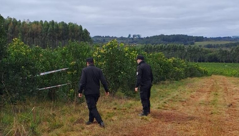 Hallaron sin vida a una adolescente en una chacra de Campo&nbsp;Ramón